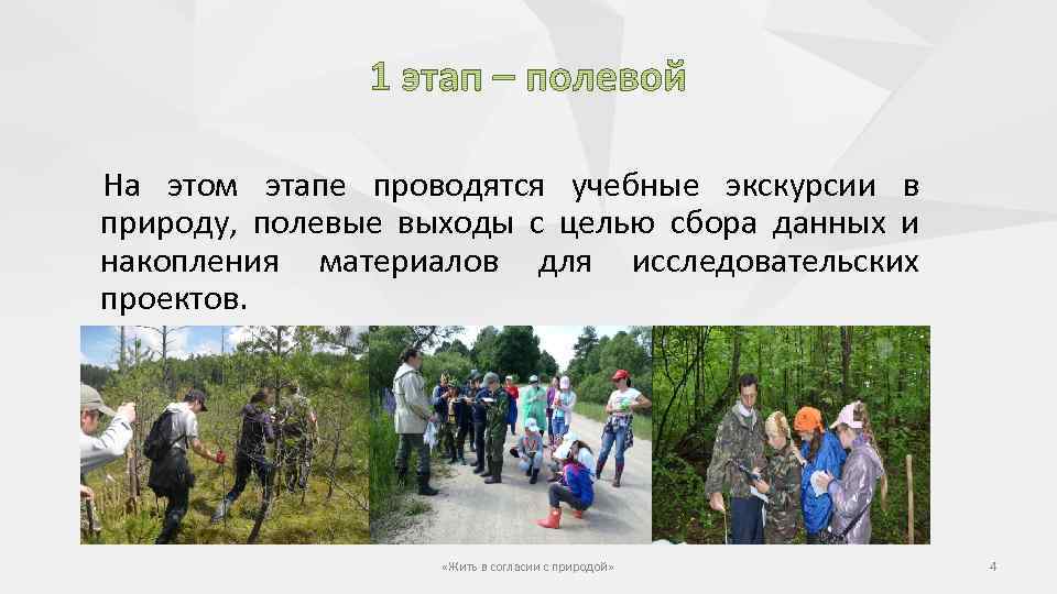 На этом этапе проводятся учебные экскурсии в природу, полевые выходы с целью сбора данных
