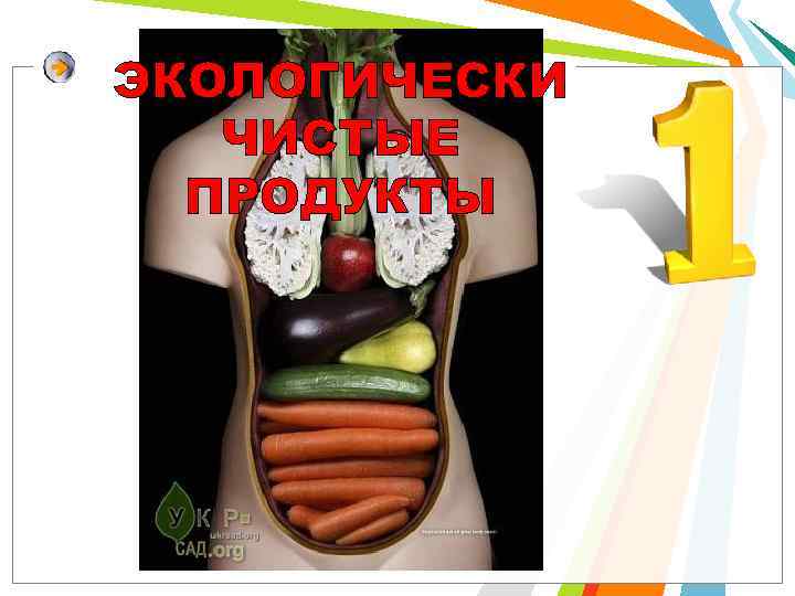 ЭКОЛОГИЧЕСКИ ЧИСТЫЕ ПРОДУКТЫ 