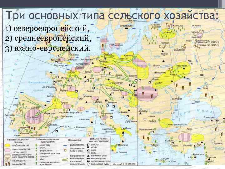 Три основных типа сельского хозяйства: 1) североевропейский, 2) среднеевропейский, 3) южно-европейский. 