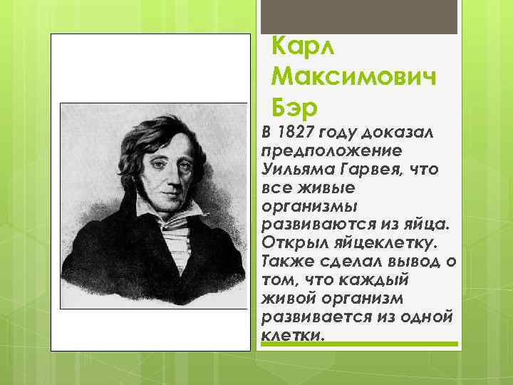 Карл Максимович Бэр В 1827 году доказал предположение Уильяма Гарвея, что все живые организмы