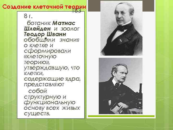 История клеточной теории