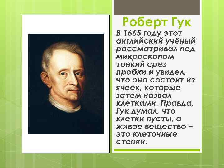 Роберт Гук В 1665 году этот английский учёный рассматривал под микроскопом тонкий срез пробки