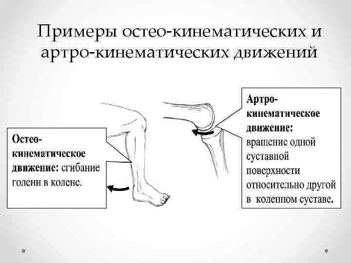 Примеры остео-кинематических и артро-кинематических движений 