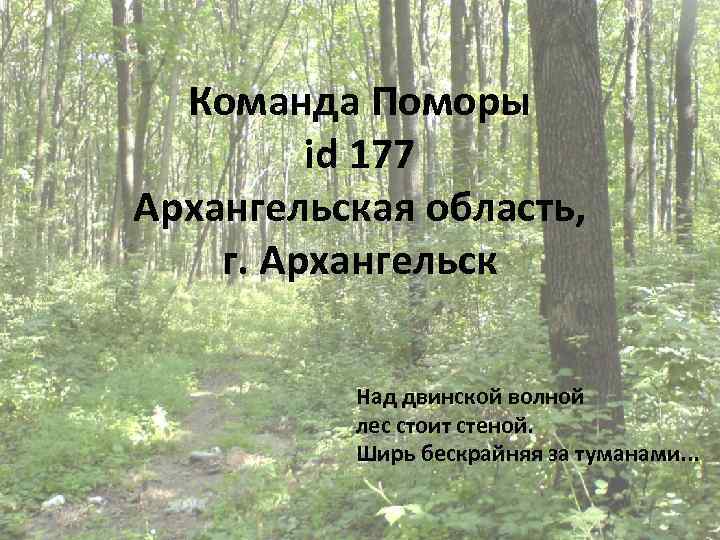 Команда Поморы id 177 Архангельская область, г. Архангельск Над двинской волной лес стоит стеной.