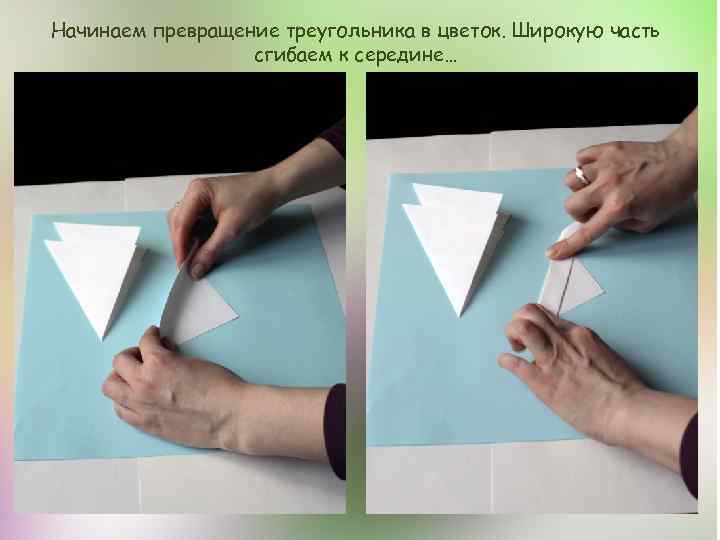 Начинаем превращение треугольника в цветок. Широкую часть сгибаем к середине… 