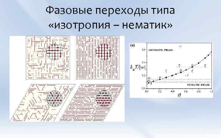 Фазовые переходы типа «изотропия – нематик» 