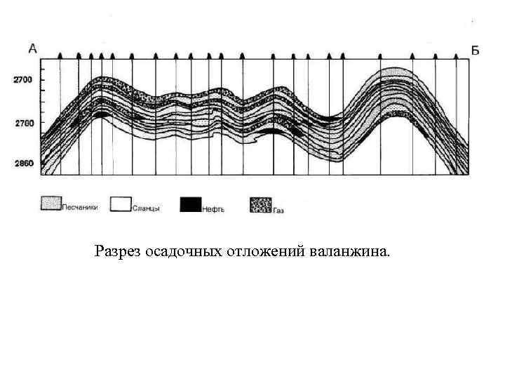 Разрез осадочных отложений валанжина. 