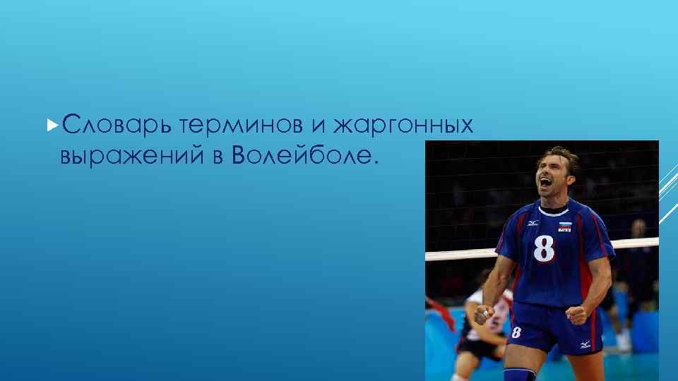  Словарь терминов и жаргонных выражений в Волейболе. 