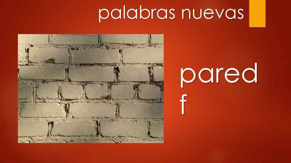 palabras nuevas pared f 