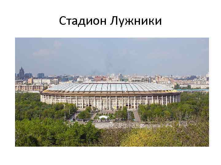 Стадион Лужники 