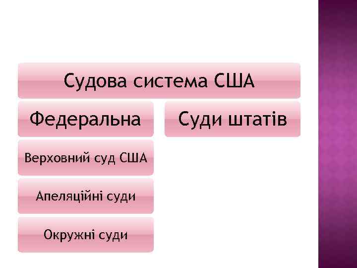 Судова система США Федеральна Верховний суд США Апеляційні суди Окружні суди Суди штатів 