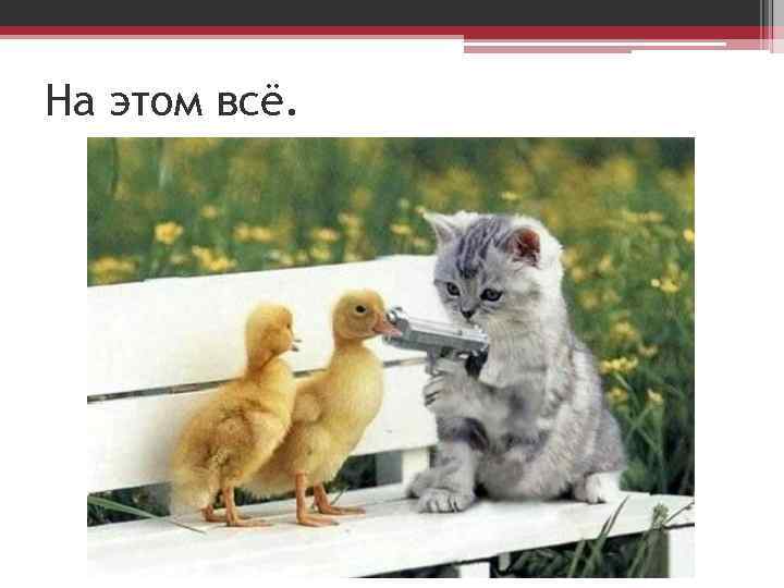 На этом всё. 