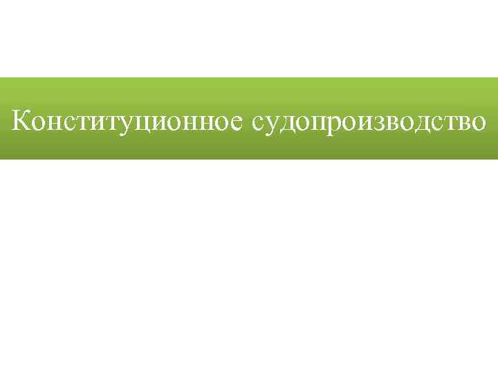 Конституционное судопроизводство 