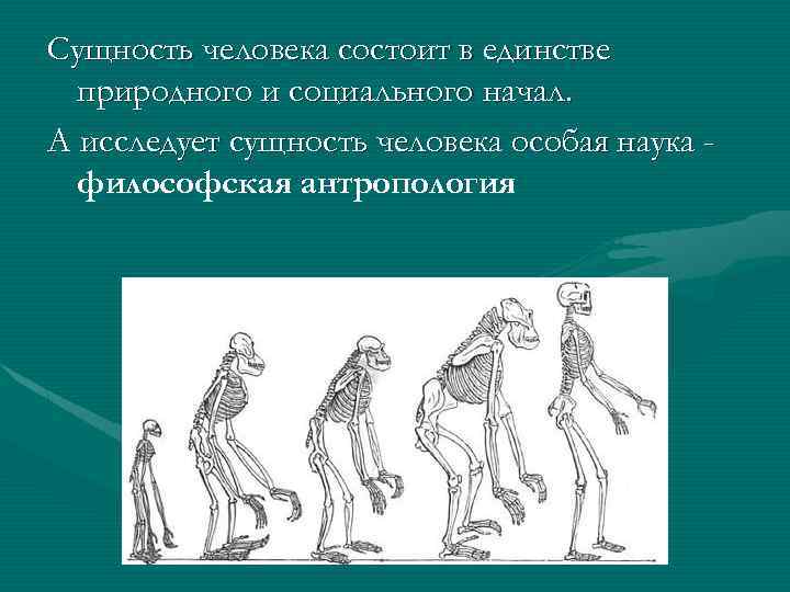 Сущность человека состоит в единстве природного и социального начал. А исследует сущность человека особая