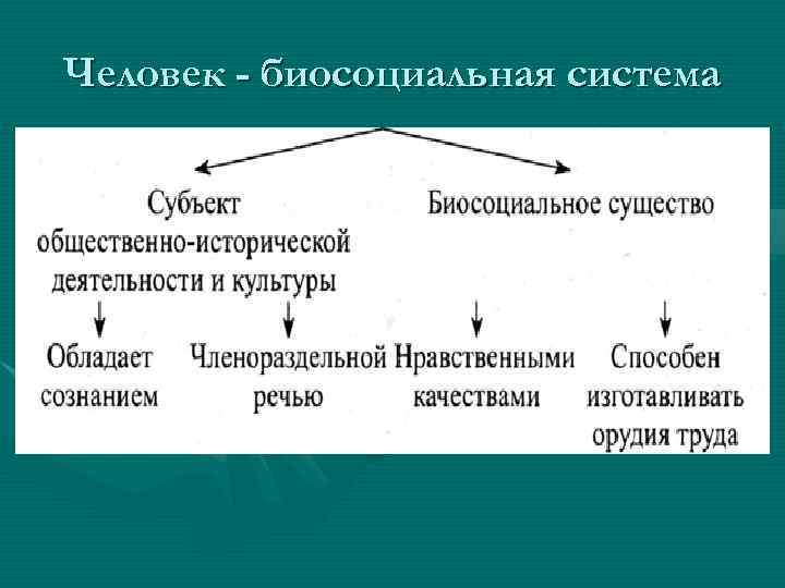 Человек - биосоциальная система 