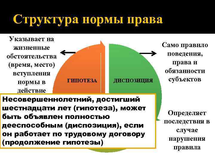 Структура нормы права Указывает на жизненные обстоятельства (время, место) вступления ГИПОТЕЗА ДИСПОЗИЦИЯ нормы в