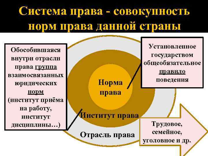 Система права - совокупность норм права данной страны Обособившаяся внутри отрасли права группа взаимосвязанных