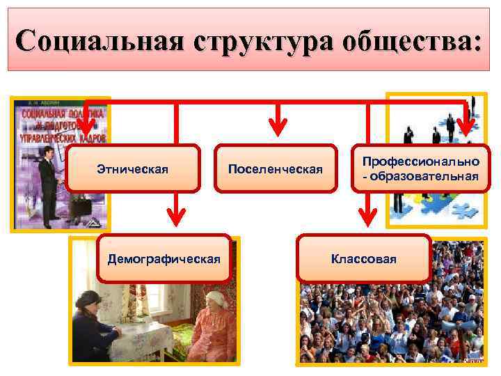 Социальная структура общества: Этническая Демографическая Поселенческая Профессионально - образовательная Классовая 