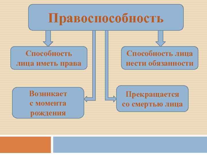 Правоспособность Способность лица иметь права Возникает с момента рождения Способность лица нести обязанности Прекращается