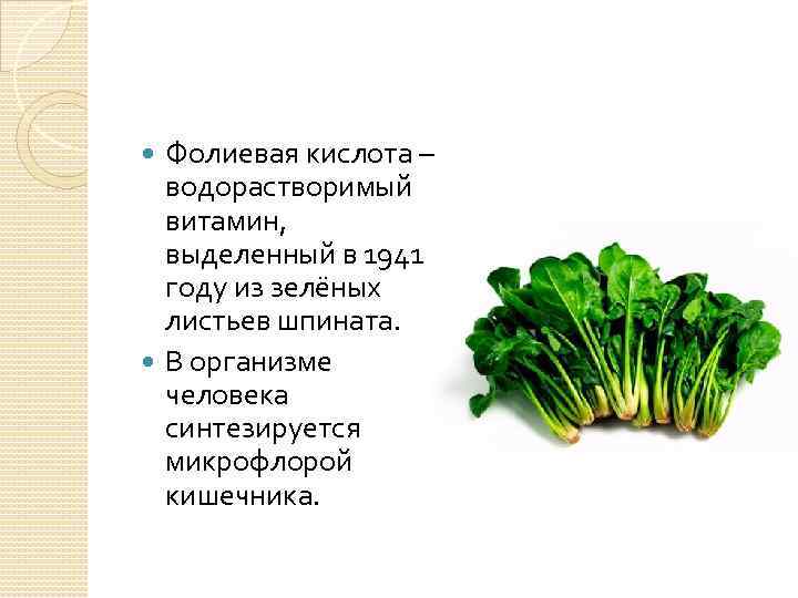 Фолиевая кислота – водорастворимый витамин, выделенный в 1941 году из зелёных листьев шпината. В