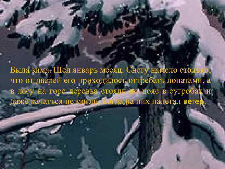 Была зима. Шел январь месяц. Снегу намело столько, что от дверей его приходилось отгребать