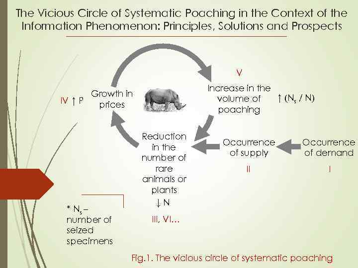 The Vicious Circle of Systematic Poaching in the Context of the Information Phenomenon: Principles,