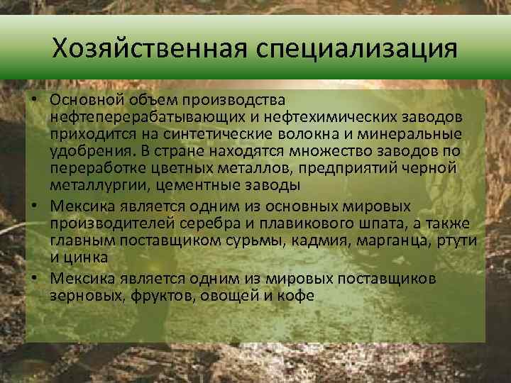 Хозяйственная специализация • Основной объем производства нефтеперерабатывающих и нефтехимических заводов приходится на синтетические волокна