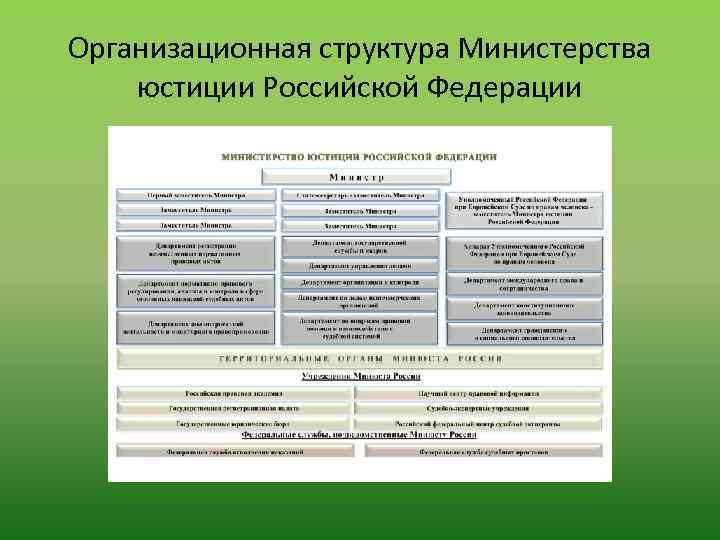 Схема организационной структуры министерства юстиции рф