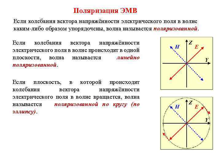 Поляризация ЭМВ Если колебания вектора напряжённости электрического поля в волне каким-либо образом упорядочены, волна