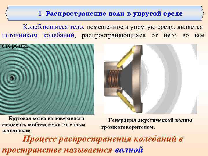 1. Распространение волн в упругой среде Колеблющиеся тело, помещенное в упругую среду, является источником