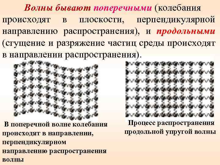 Волны бывают поперечными (колебания происходят в плоскости, перпендикулярной направлению распространения), и продольными (сгущение и