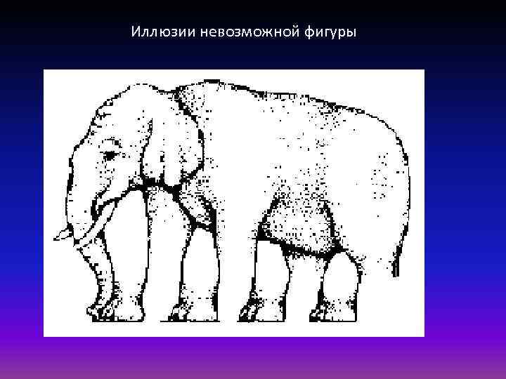 Укажите какой из трех типов иллюзий изображен на картинках а б в