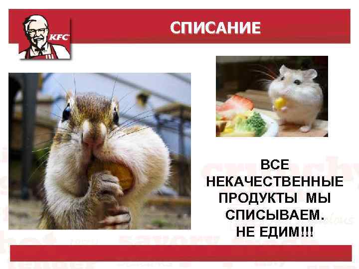 СПИСАНИЕ ВСЕ НЕКАЧЕСТВЕННЫЕ ПРОДУКТЫ МЫ СПИСЫВАЕМ. НЕ ЕДИМ!!! 