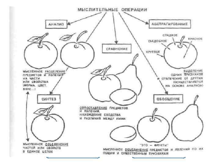 В общении В мышлении коммуникация сигнализация экспрессия обобщение 