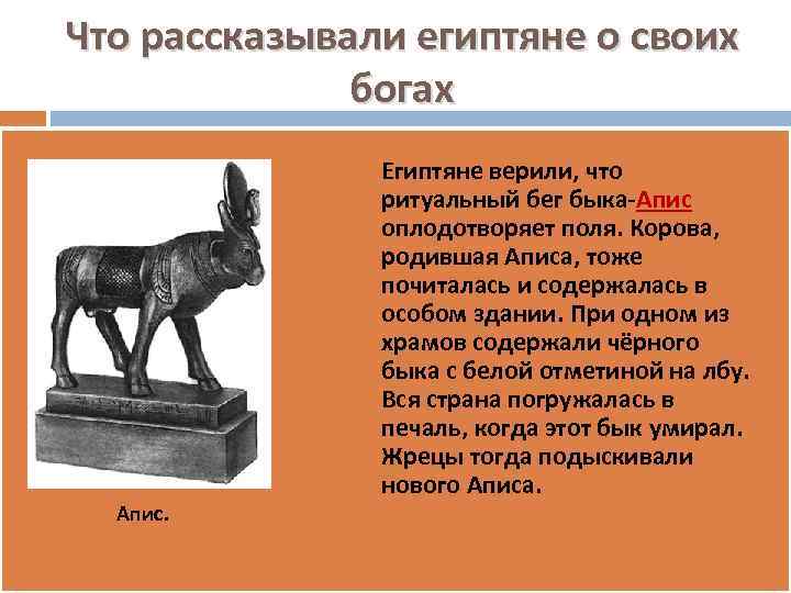 Что рассказывали египтяне о своих богах Апис. Египтяне верили, что ритуальный бег быка-Апис оплодотворяет