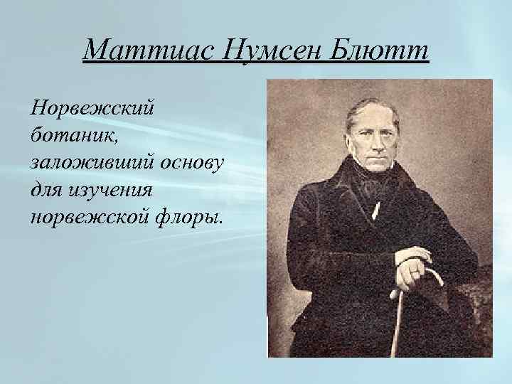 Маттиас Нумсен Блютт Норвежский ботаник, заложивший основу для изучения норвежской флоры. 