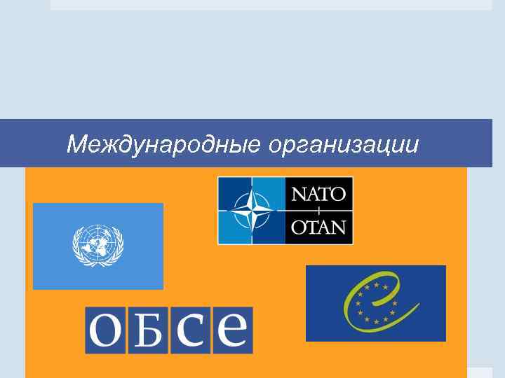 Международные организации 