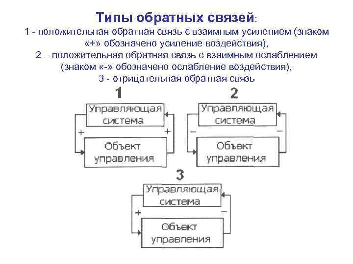 Типы обратных связей: 1 - положительная обратная связь с взаимным усилением (знаком «+» обозначено