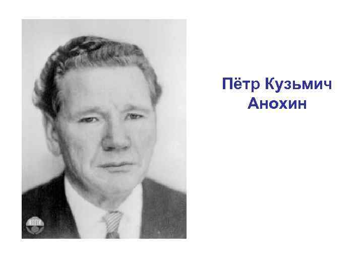Пётр Кузьмич Анохин 