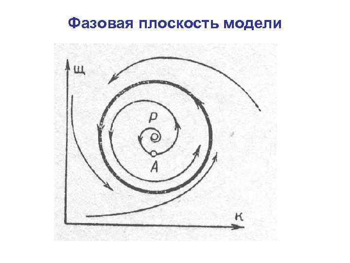 Фазовая плоскость модели 