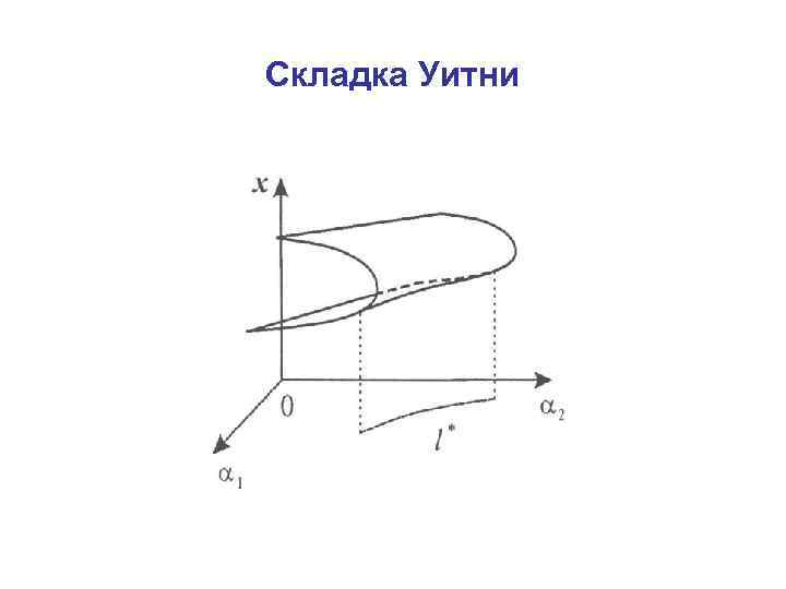 Складка Уитни 