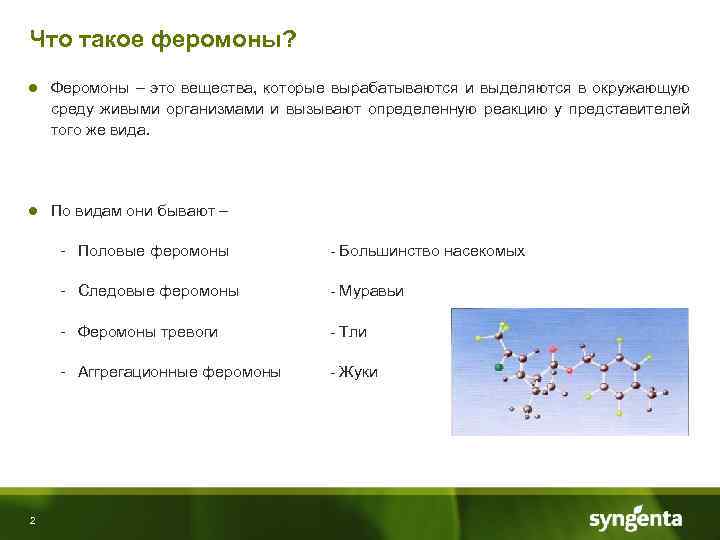 Что такое феромоны? ● Феромоны – это вещества, которые вырабатываются и выделяются в окружающую