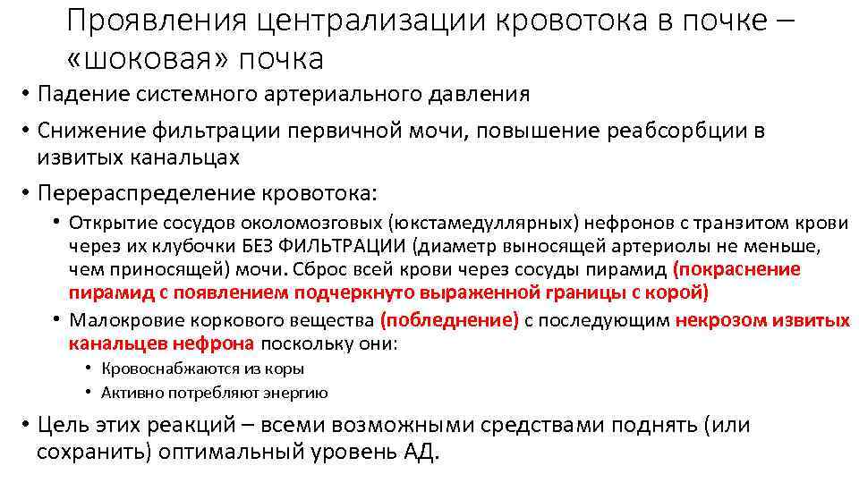 Проявления централизации кровотока в почке – «шоковая» почка • Падение системного артериального давления •