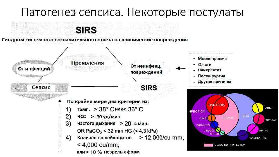 Патогенез псевдотуберкулеза схема