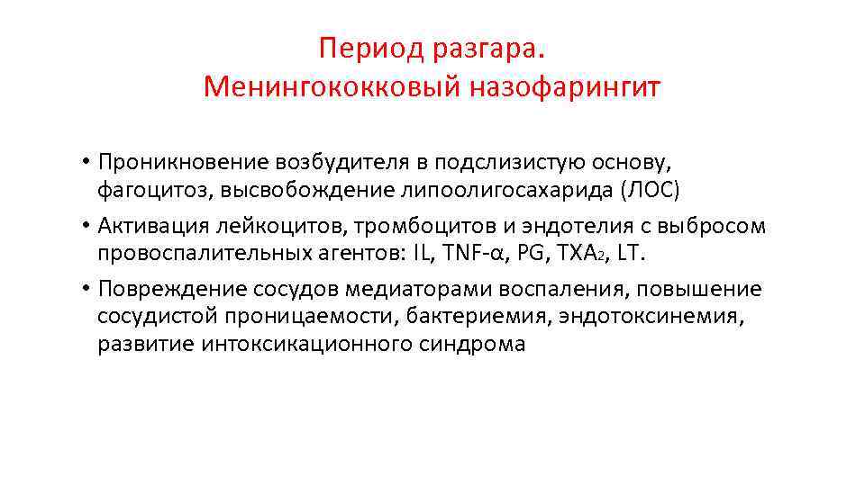 Период разгара. Менингококковый назофарингит • Проникновение возбудителя в подслизистую основу, фагоцитоз, высвобождение липоолигосахарида (ЛОС)