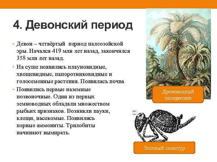 4. Девонский период • Девон – четвёртый период палеозойской эры. Начался 419 млн лет