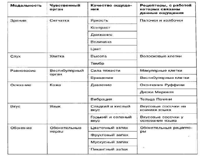 Модальность это в психологии. Модальность изображения. Типы модальности в психологии. Виды модальности текста. Модальность ощущений.