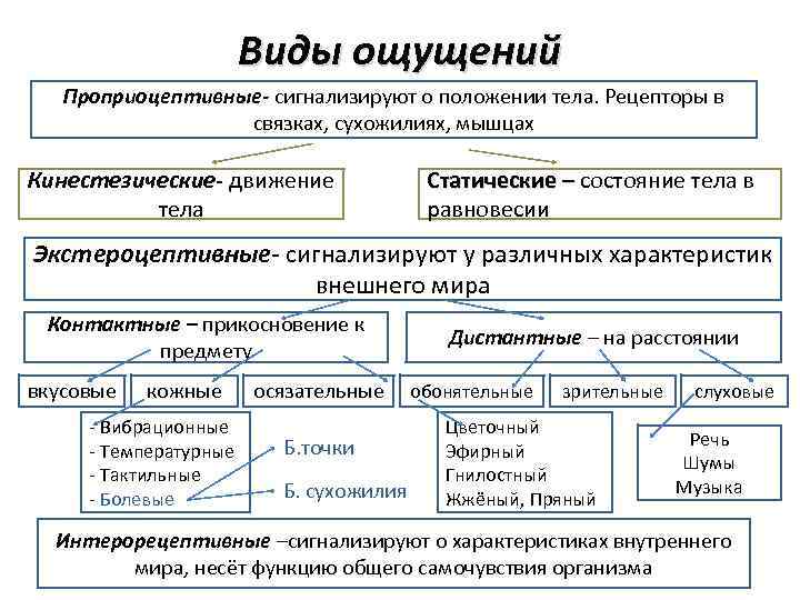 Виды ощущений Проприоцептивные- сигнализируют о положении тела. Рецепторы в связках, сухожилиях, мышцах Кинестезические- движение