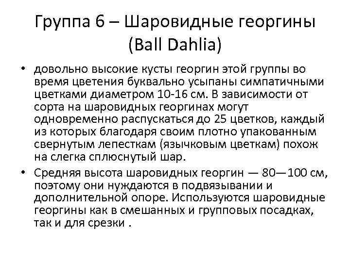 Группа 6 – Шаровидные георгины (Ball Dahlia) • довольно высокие кусты георгин этой группы