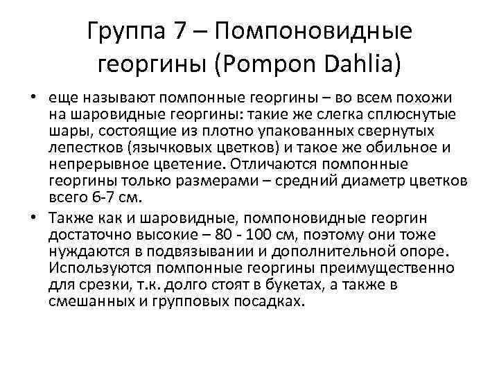 Группа 7 – Помпоновидные георгины (Pompon Dahlia) • еще называют помпонные георгины – во